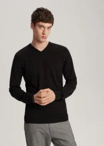 Мужской джемпер VINEC